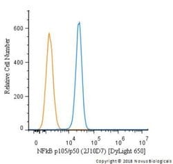 NFkB p105/p50 Antibody (2J10D7) - Azide and BSA Free, Novus Biologicals